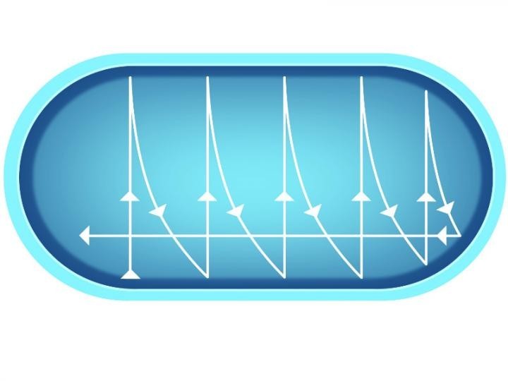 Bazénový vysavač Reaction
