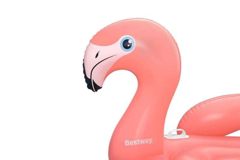 Rider Flamingo