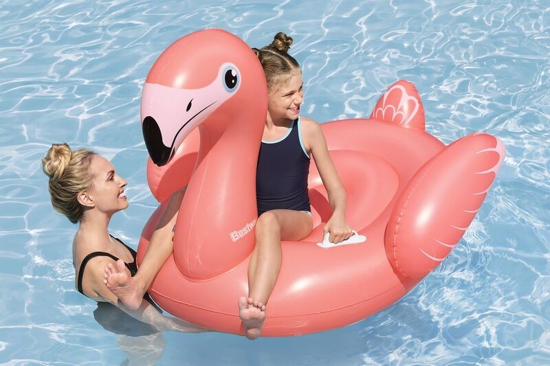 Rider Flamingo