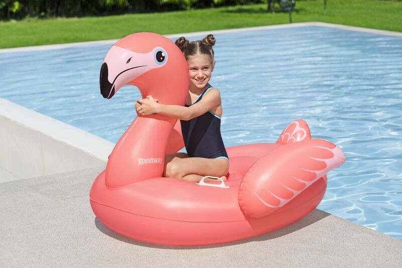 Rider Flamingo
