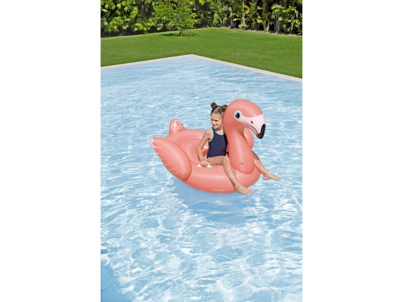 Rider Flamingo