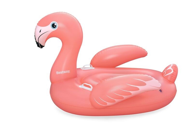 Rider Flamingo