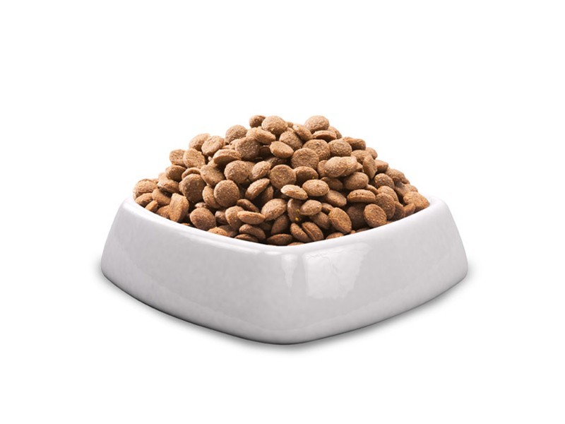 Vivavita granule pro dospělé psy drůbeží 15kg