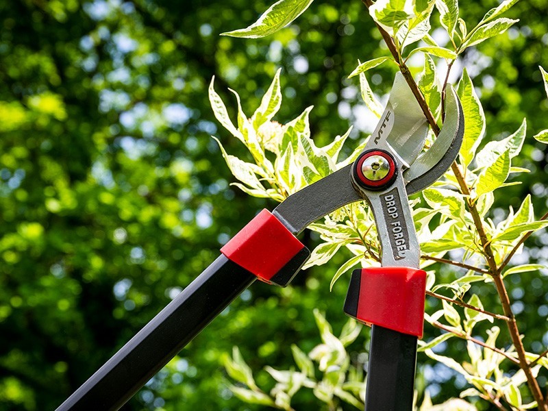 Nožnice MTF P40 - foto 6 Nožnice MTF P40