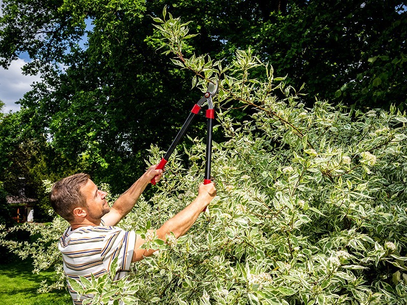 Nožnice MTF P40 - foto 7 Nožnice MTF P40