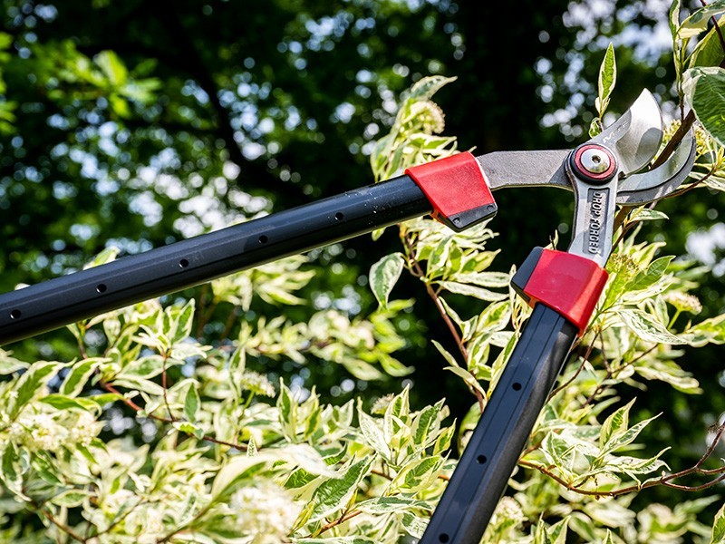 Nožnice MTF P60-T - foto 4 Nožnice MTF P60-T