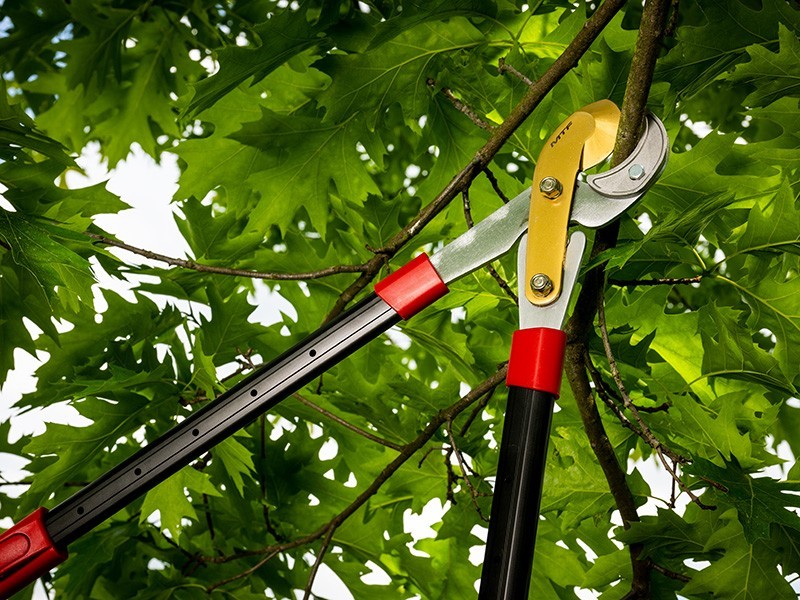 Nůžky MTF P80-T - foto 5 Nůžky MTF P80-T