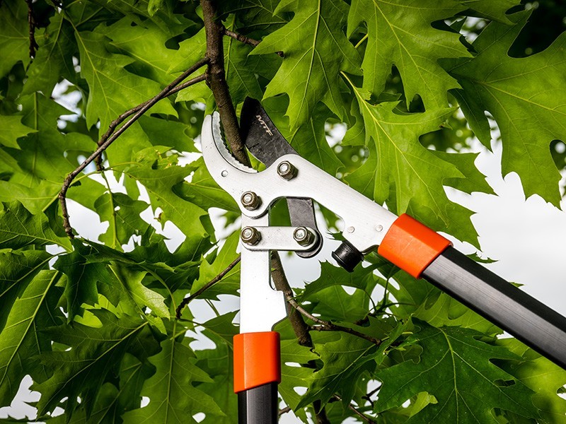 Nožnice MTF P70 - foto 2 Nožnice MTF P70