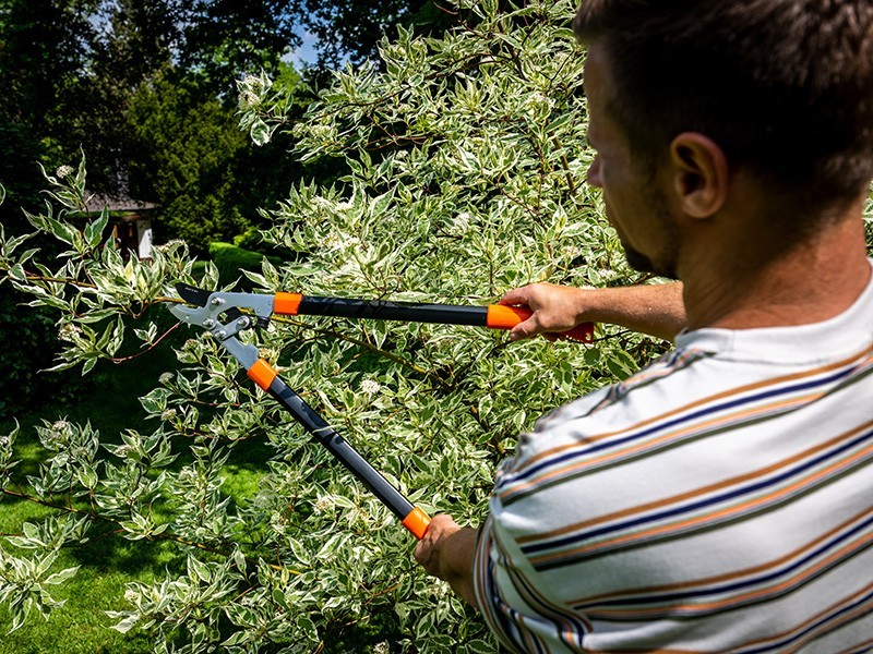 Nožnice MTF P70 - foto 3 Nožnice MTF P70