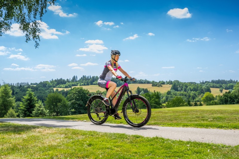 Horský elektrobicykel SUV 8.4 W (19)