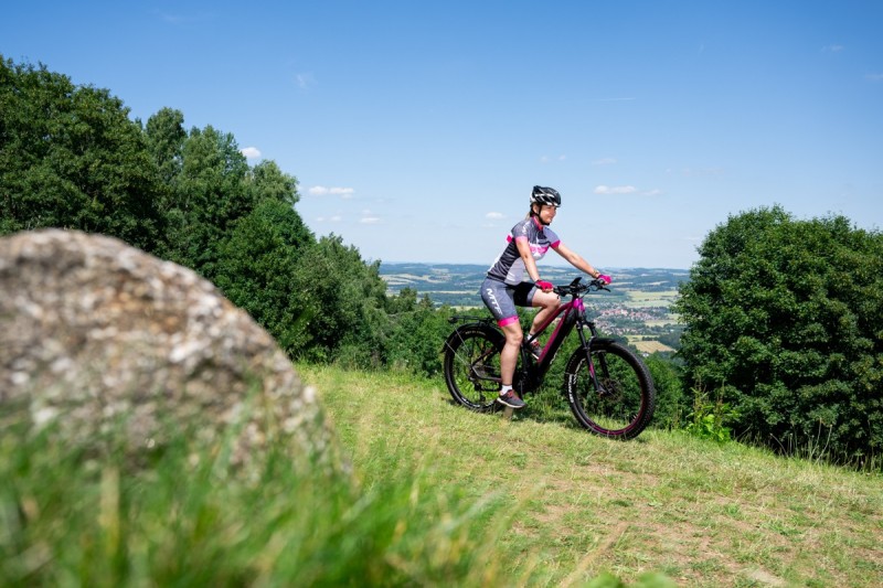 Horský elektrobicykel SUV 8.4 W (19)