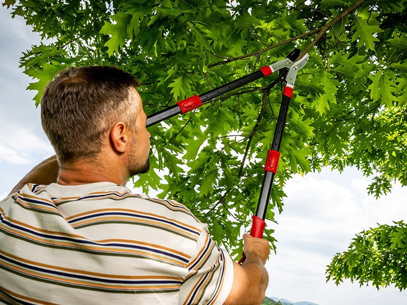 Nůžky MTF P90-T - foto 7 Nůžky MTF P90-T