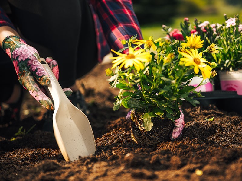 Set zahradního nářadí Cappuccino - foto 5 Set zahradního nářadí Cappuccino