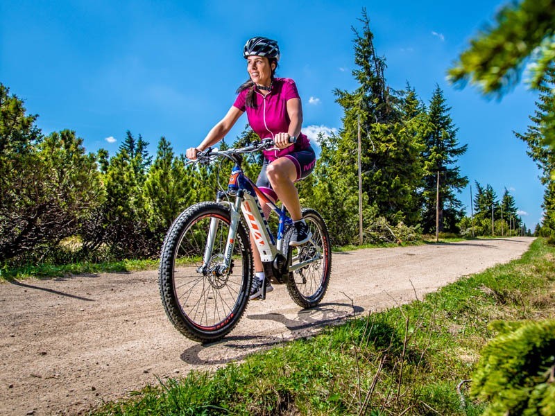 Horský elektrobicykel Hill 9.0 (17) - foto 4