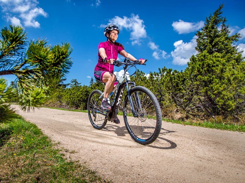 Krosový elektrobicykel Cross Lady 9.0 (19)