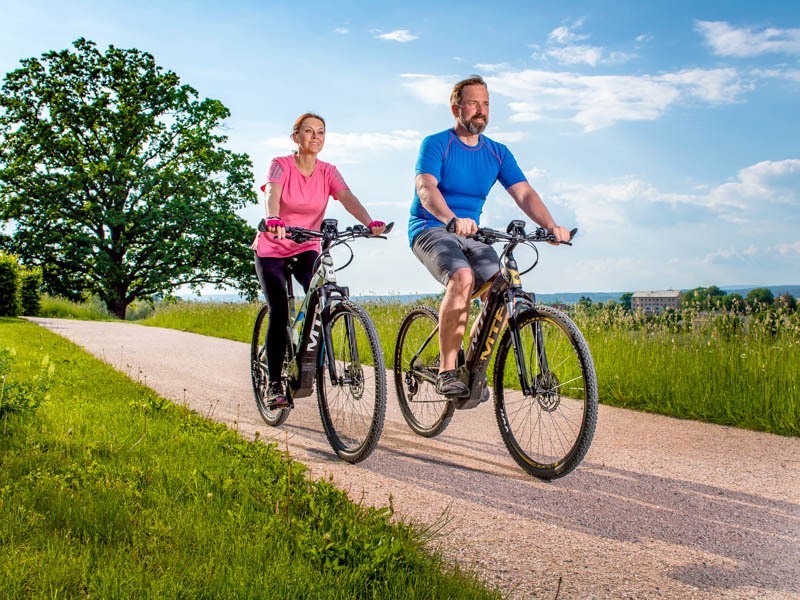 Dámské ELEKTROKOLO Cross Lady 9.0 (17) - foto 13 Dámské ELEKTROKOLO Cross Lady 9.0 (17)