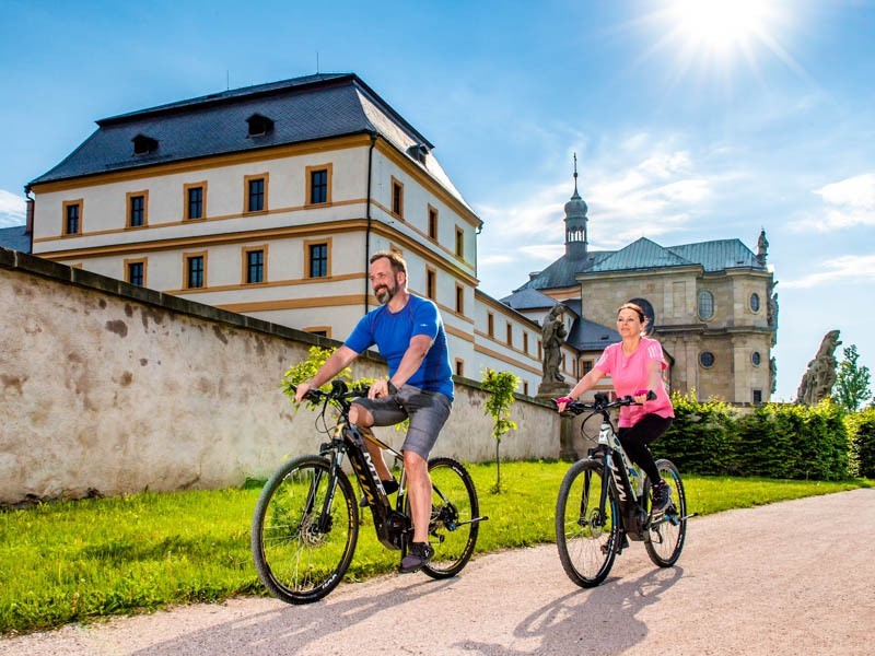 ELEKTROKOLO krosové Cross 9.0 (17)