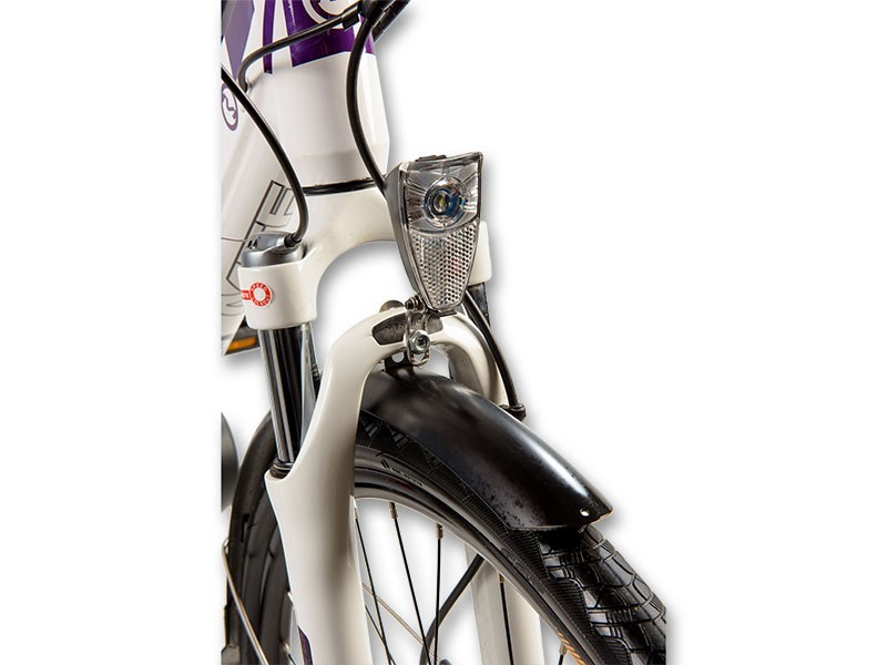Dámsky elektrobicykel Road Lady 7.0 (19) - foto 6 Dámsky elektrobicykel Road Lady 7.0 (19)
