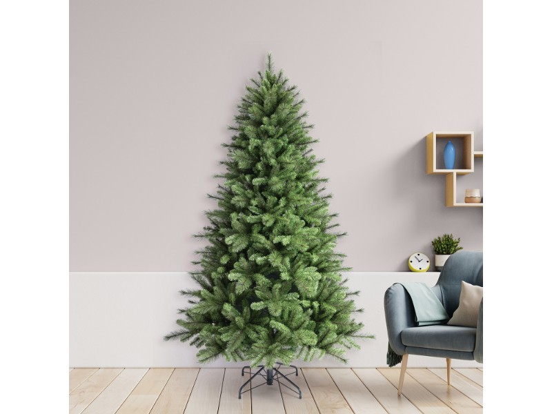 Borovica kráľovská, 210 cm