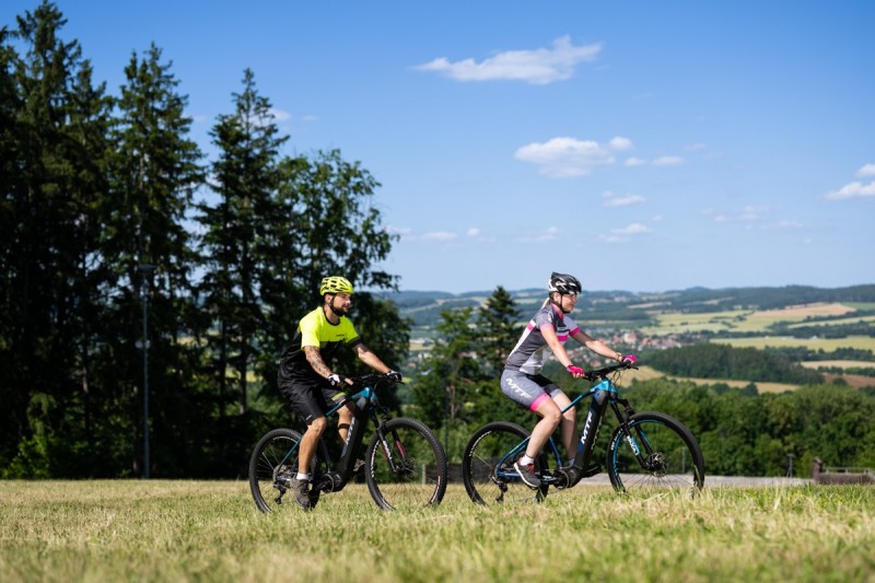 Horský elektrobicykel Mount 11.4 W AUTO SHIFT (18)