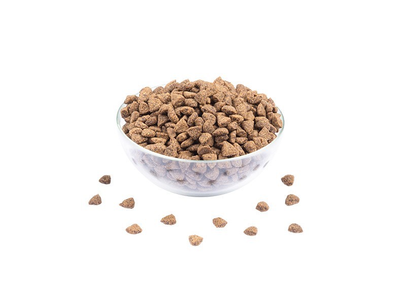 Starvita granule pro kočky losos 750g