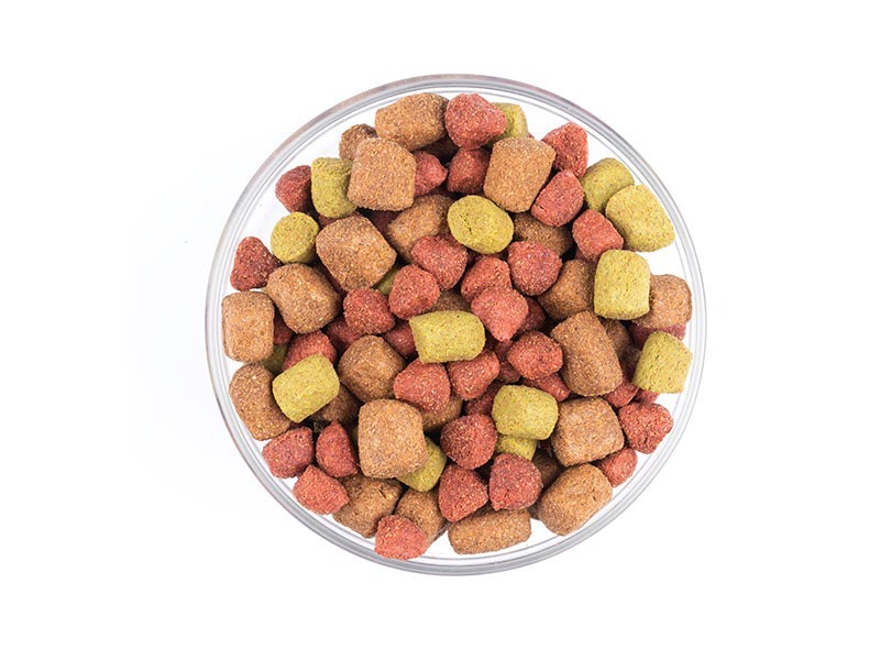Carnis granuly pre psy s jahňacím, ryžou a zeleninou, 10 kg
