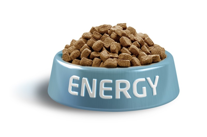 Carnis granuly pre aktívne psy, 10 kg