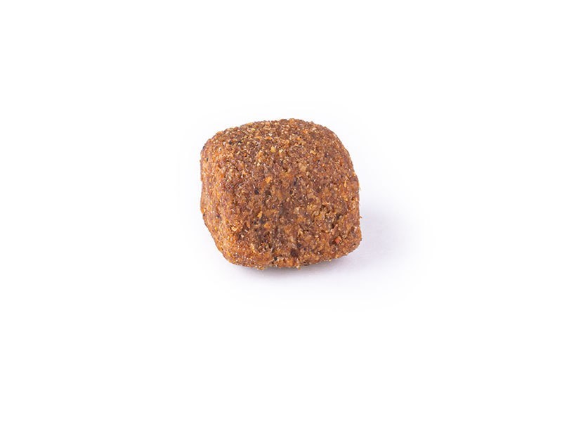 Carnis granuly pre aktívne psy, 10 kg