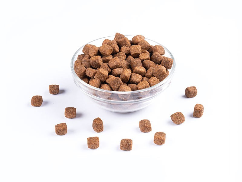 Carnis granuly pre aktívne psy, 10 kg