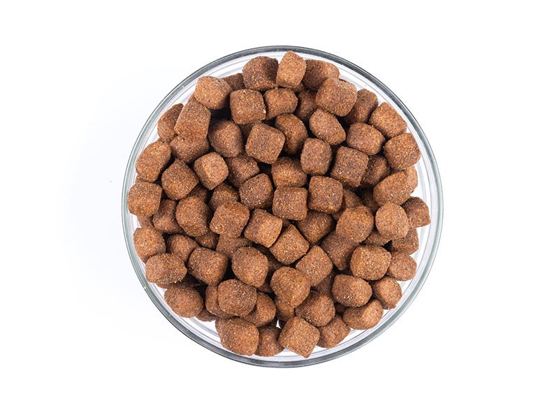 Carnis granuly pre aktívne psy, 10 kg