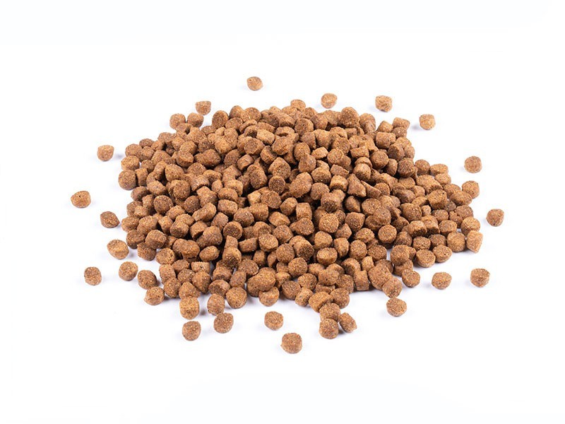 Carnis granuly pre šteňatá a gravidné sučky, 10 kg