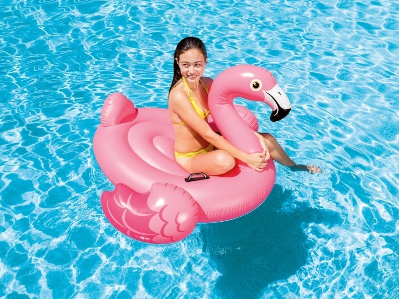 Rider Pink flamingo