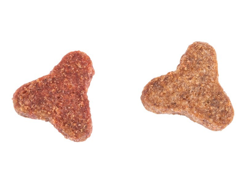 Carnis granule pro kočky hovězí 1,6kg - foto 4
