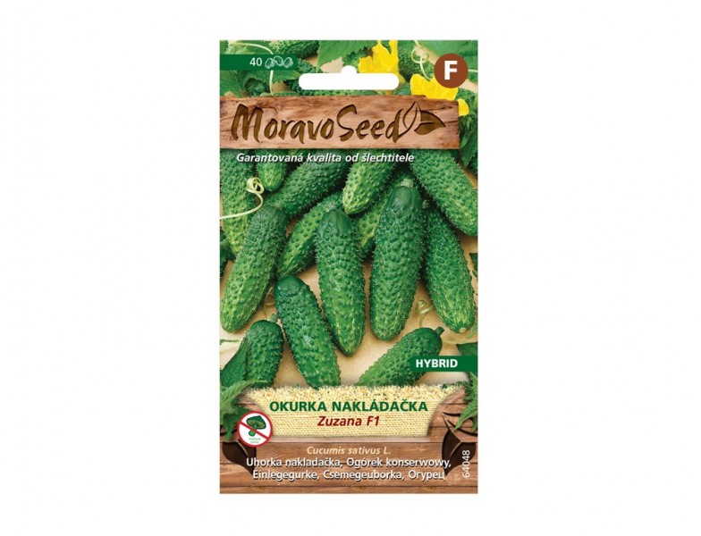 Okurka nakládačka hruboostná ZUZANA - foto 1