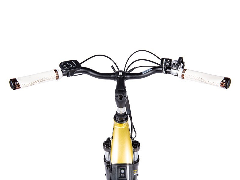 Mestský elektrobicykel Grand 2.3 (17) - foto 11
