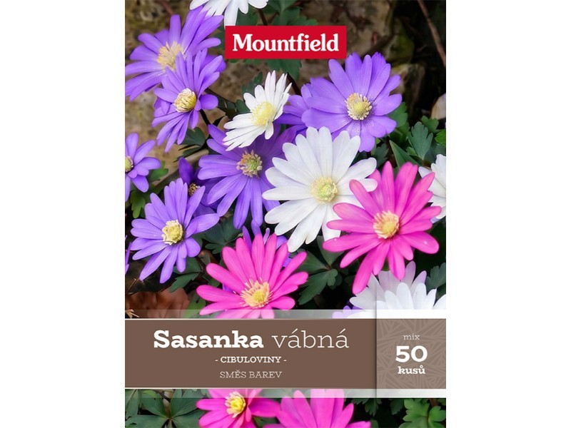 Sasanka vábná mix 50 ks - foto 1