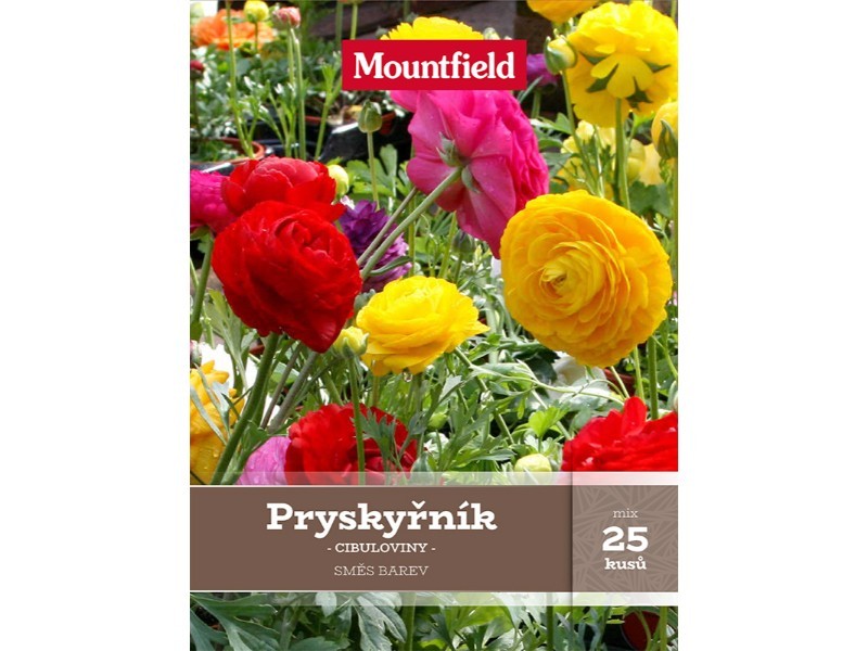 Pryskyřník mix 25 ks - foto 1