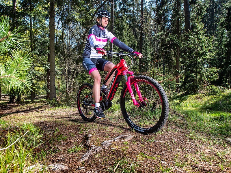 Dámské horské elektrokolo Hill 7.1 W (19) BB - foto 27