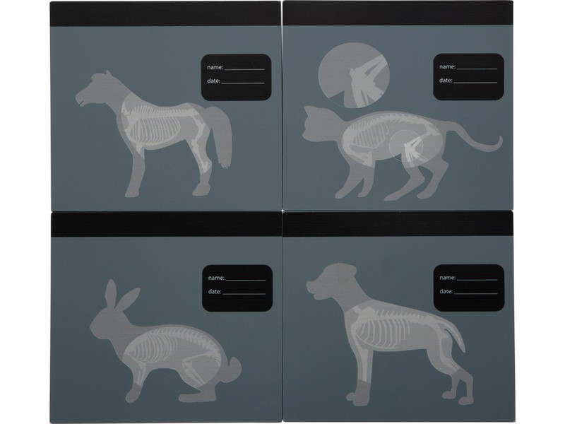 Plyšový králíček s pečovatelskou veterinární sadou - foto 12
