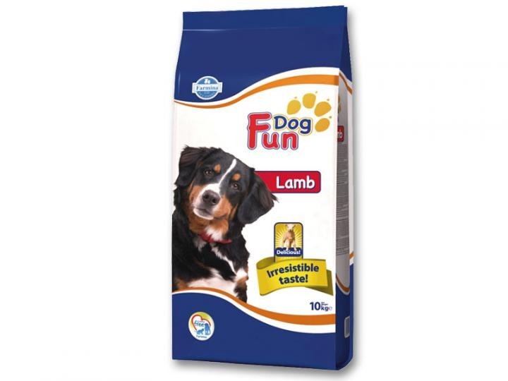 fun dog lamb