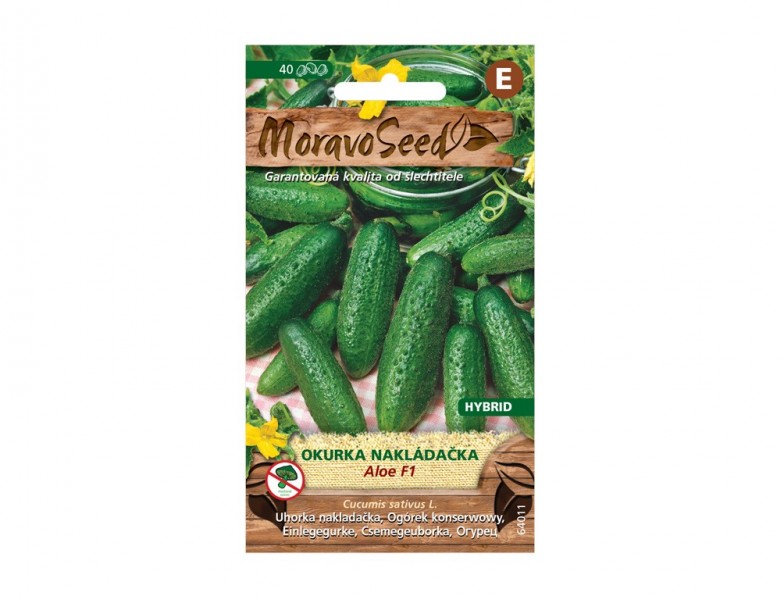 Uhorka nakladačka hruboostná ALOE F1 - foto 1