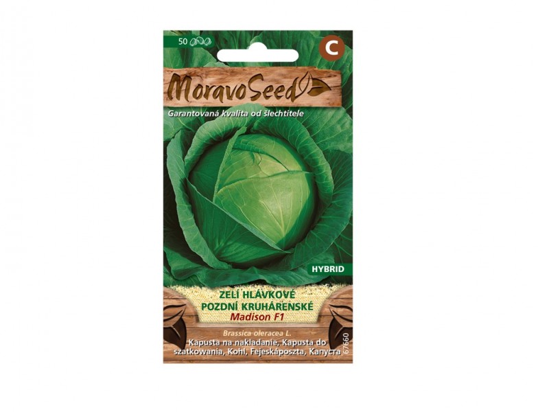 Kapusta hlávková neskorá MADISON F1 - foto 1