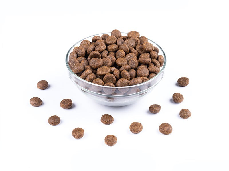 StarVita granule pre dospelé psy kura, ryba 12kg - foto 4 StarVita granule pre dospelé psy kura, ryba 12kg - foto 4