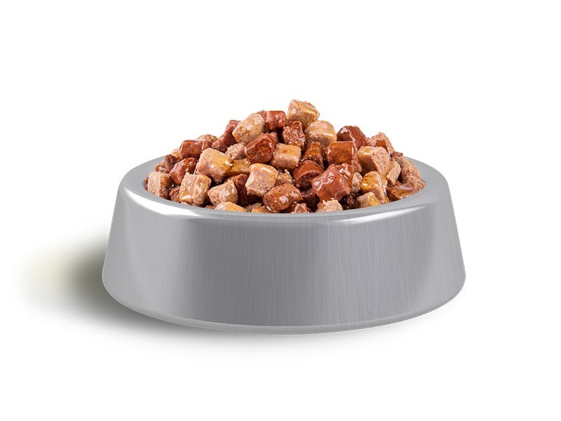 Carnis kapsičky pre psov kura, hovädzie 12x100g - foto 2