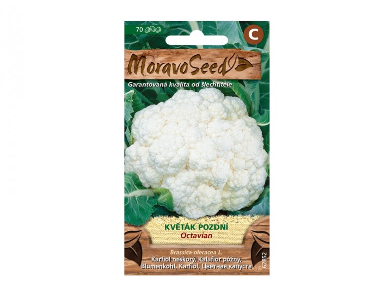 Karfiól neskorý OCTAVIAN - foto 1