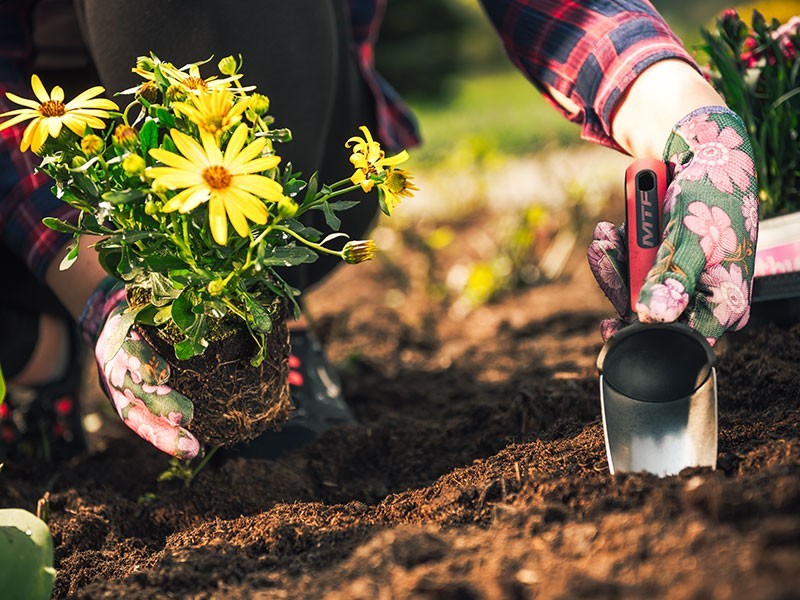 Lopatka široká MTF Elite - foto 3