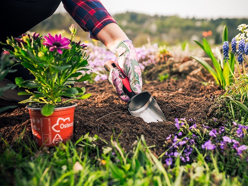 Lopatka široká MTF Elite - foto 4