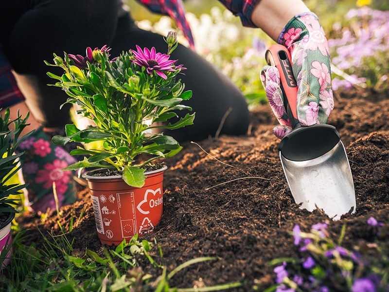 Lopatka široká MTF Elite - foto 5