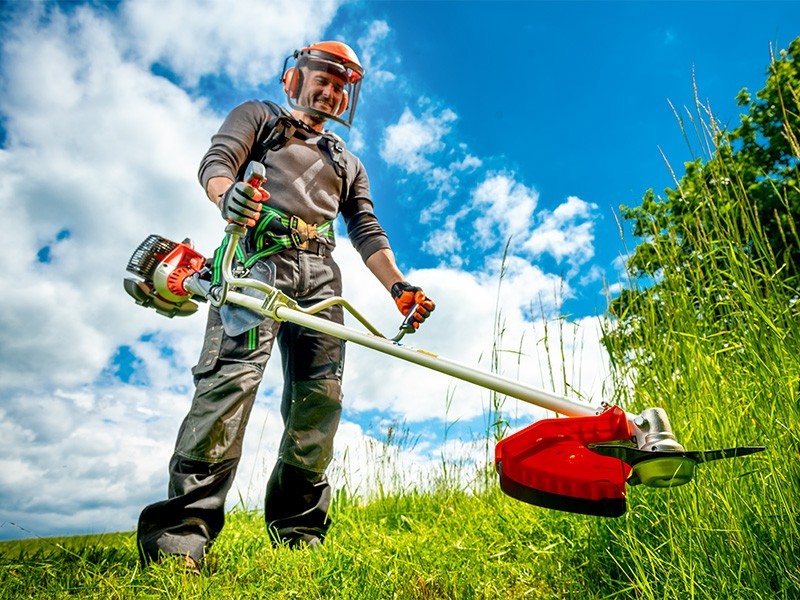 Krovinorez Oleo-Mac Sparta 381 T - foto 13