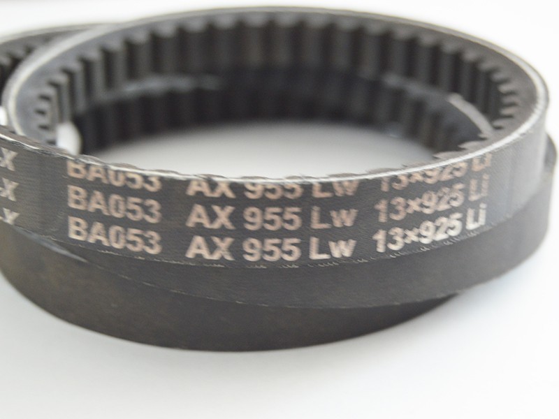Řemen kl.XA955 LwA13x925 - foto 2